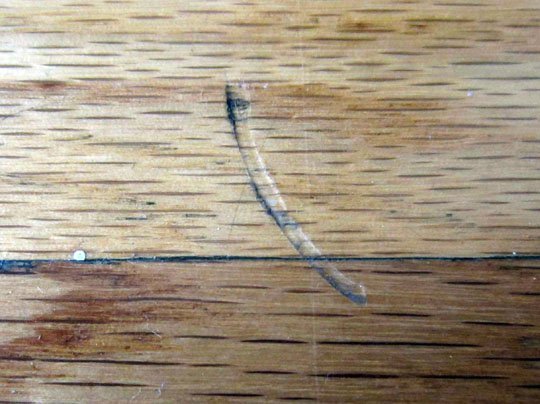 Fix-Dents-Wooden-Floors-2