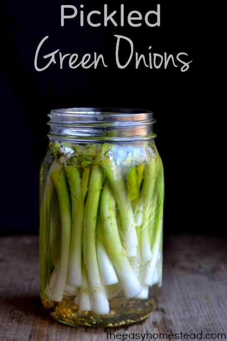 Pickled-Green-Onions-The-Easy-Homestead