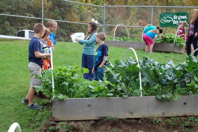 Growing-School-Gardens-2