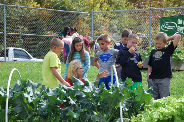 Growing-School-Gardens-3