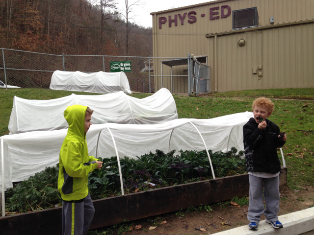 Growing-School-Gardens