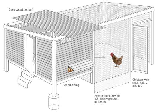 build-a-chicken-coop