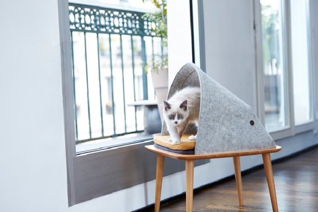 modern-cat-furniture-1