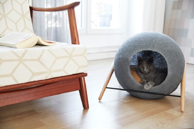modern-cat-furniture