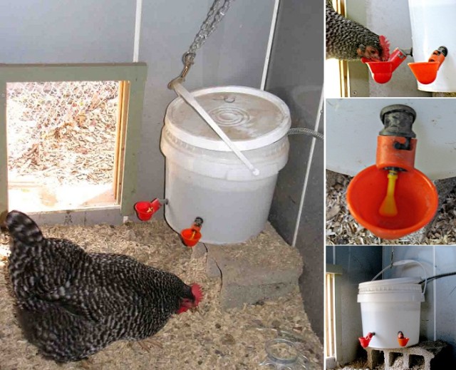 Chicken-Water-Station-Ideas-13