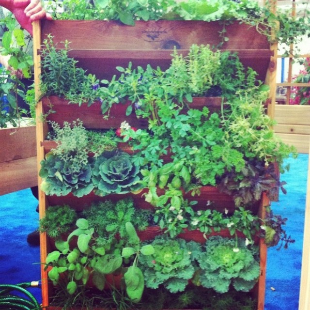 Vertical-Vegetable-Garden-Ideas-26