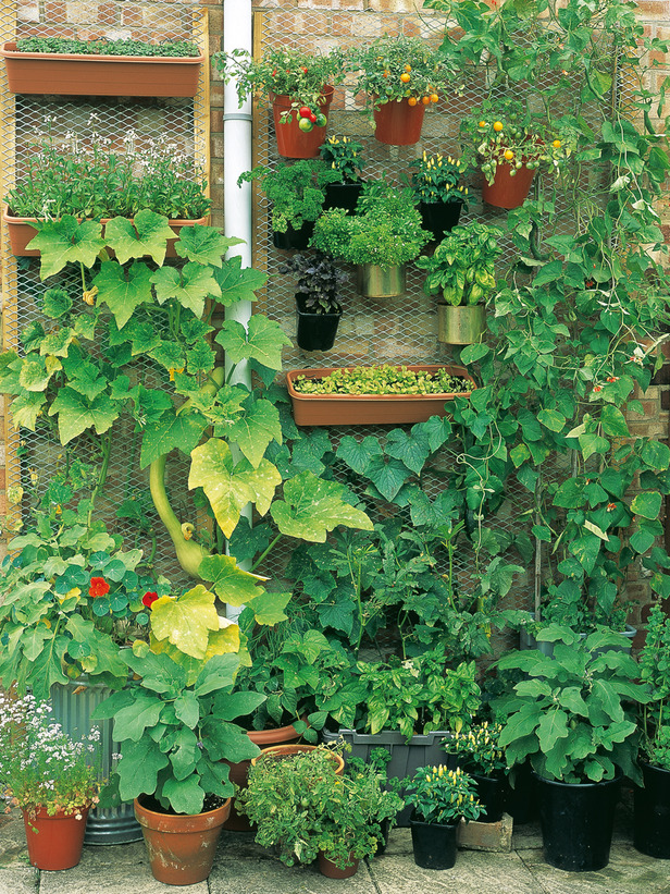Vertical-Vegetable-Garden-Ideas-4