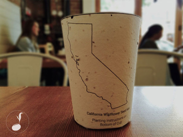 biodegradable-plantable-coffee-cup-reduce-reuse-grow-1