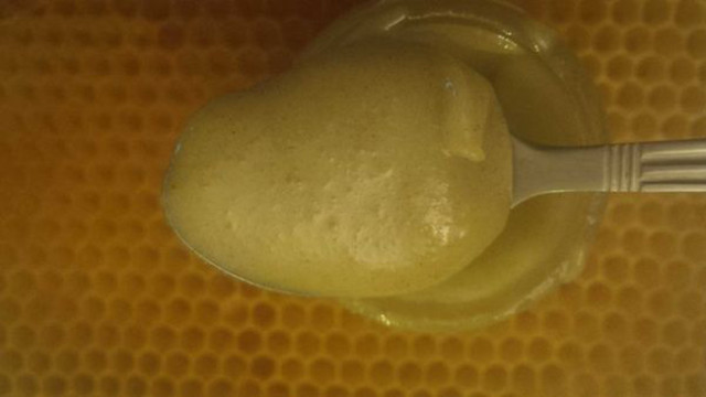 Bees-that-Make-Honey-with-Cannabis-Resin-6