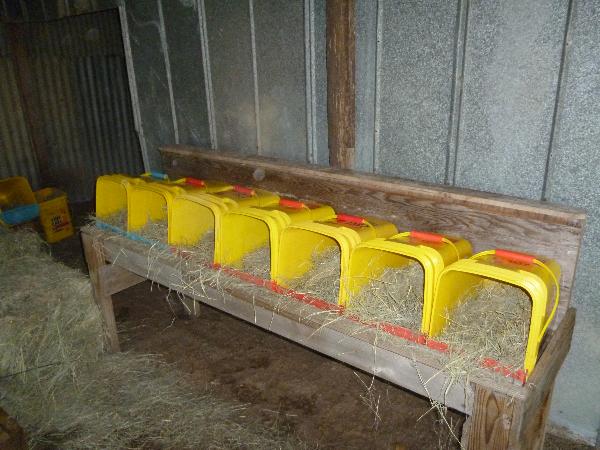 Chicken-Nesting-Boxes-2
