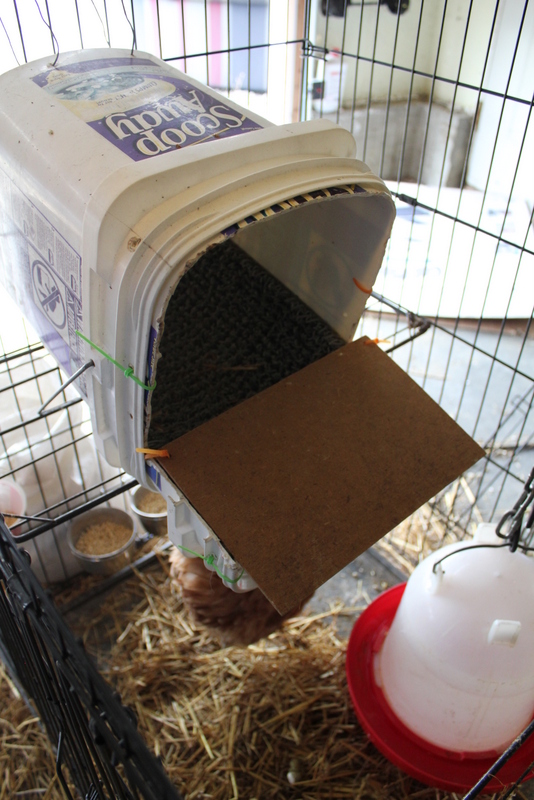 Chicken-Nesting-Boxes-7