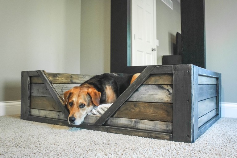 DIY Dog Bed | Home Design, Garden & Architecture Blog Magazine