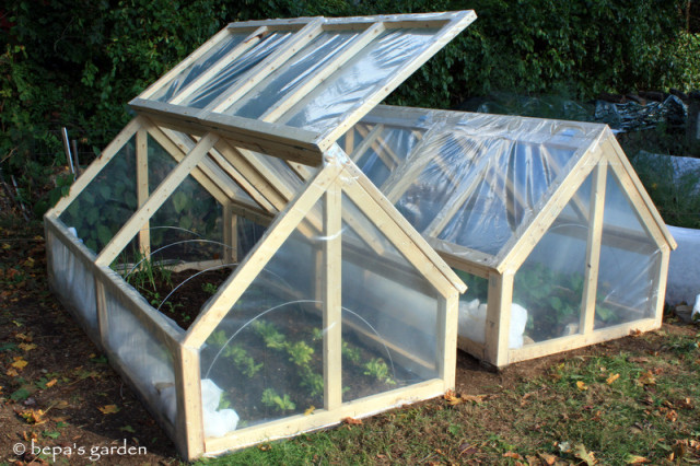 DIY-Mini-Greenhouse-3