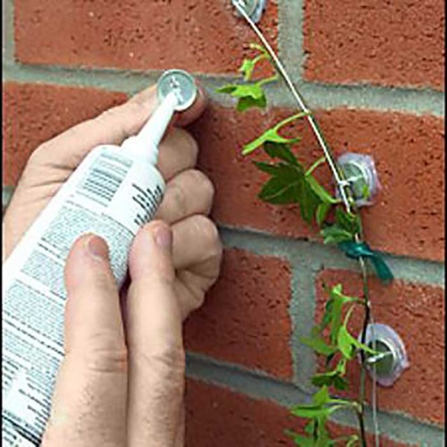 DIY-Tricks-for-Gardening-18