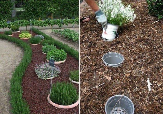 DIY-Tricks-for-Gardening-19