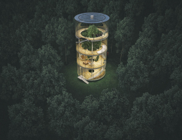 Glass-Treehouse-11