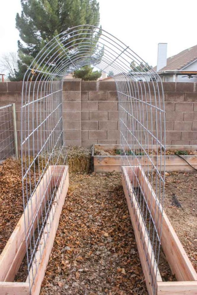 Trellis-and-Raised-Garden-Bed-Combo-2