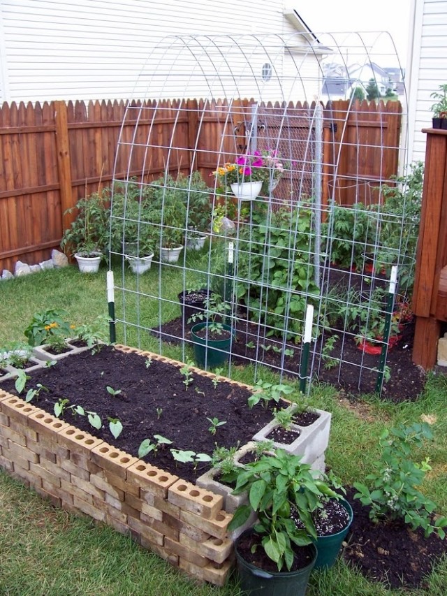 Trellis-and-Raised-Garden-Bed-Combo-5