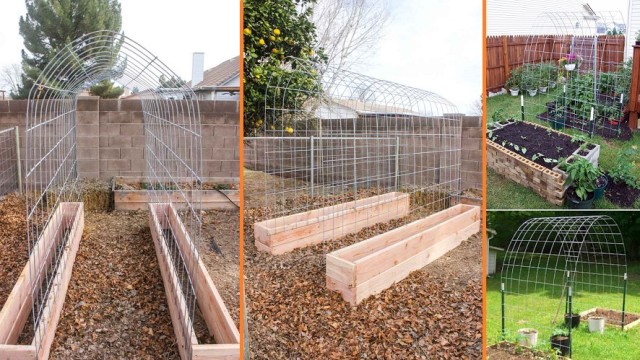Trellis-and-Raised-Garden-Bed-Combo
