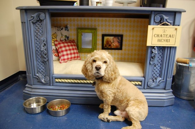 Turn-An-Old-TV-Into-a-Dog-Bed