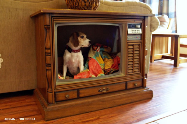 Turn-An-Old-TV-Into-a-Dog-Bed-4