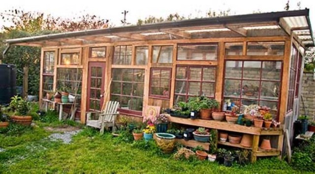 greenhouse-made-from-old-windows-10