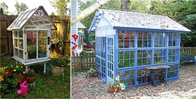 greenhouse-made-from-old-windows