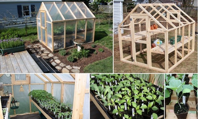 simple-greenhouse