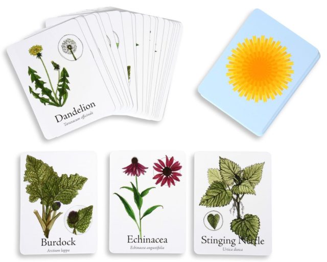Medicinal-Plants- Board-Game-6