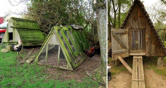 A-frame-chicken-coop