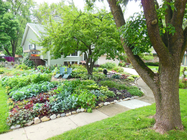 front-lawn-vegetable-garden