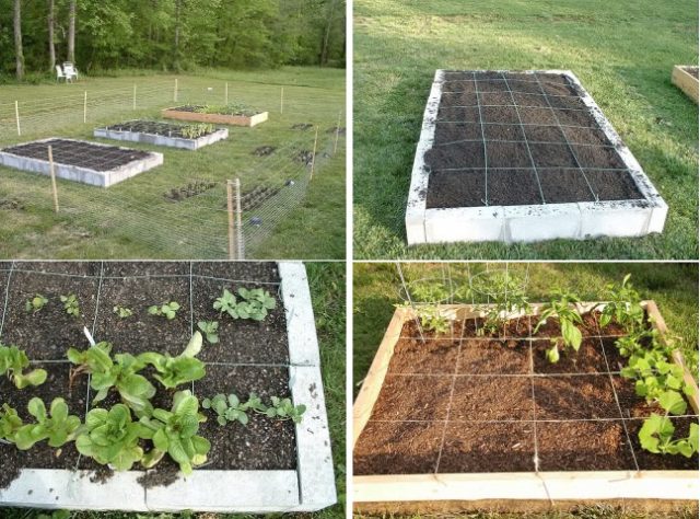 square-foot-garden-in-10-easy-steps