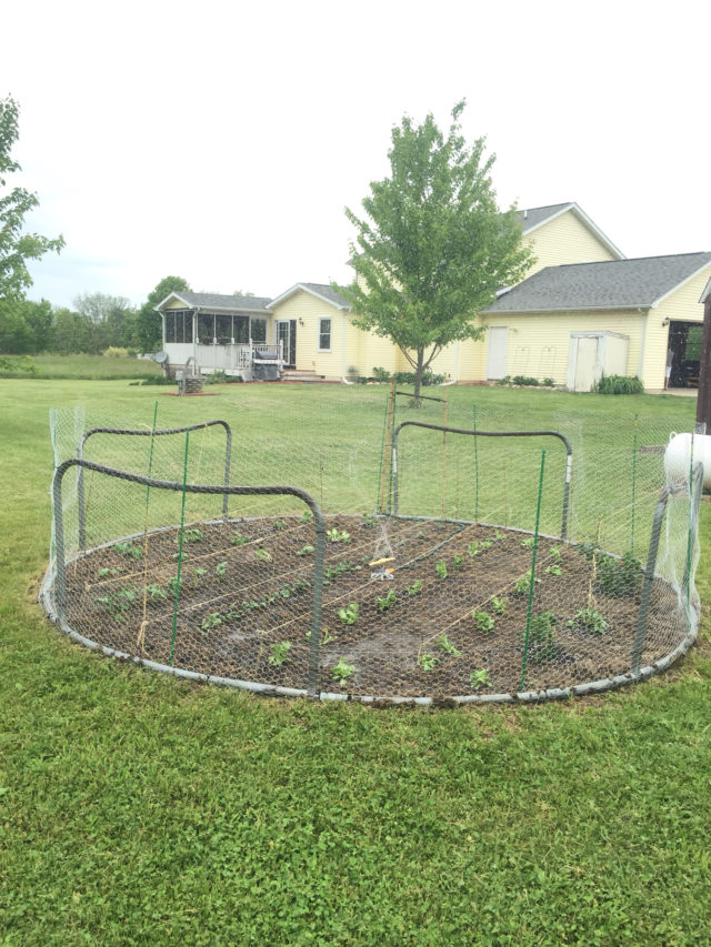 old-trampoline-frame-idea-3