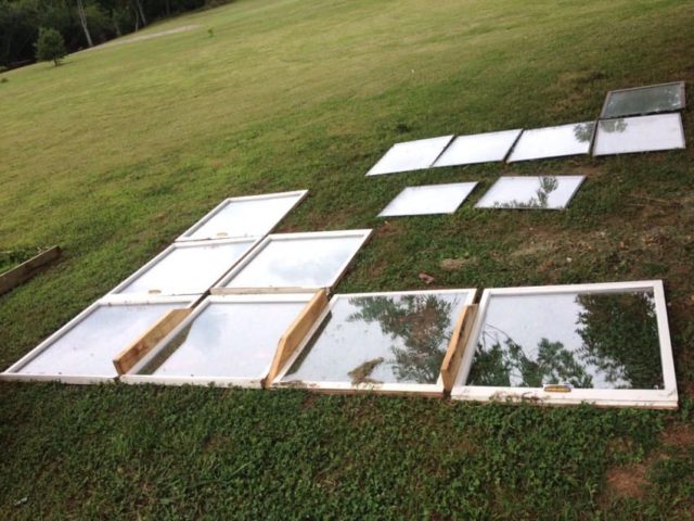 old-windows-greenhouse-1