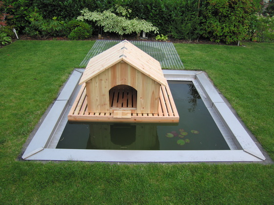 Floating-duck-house-1