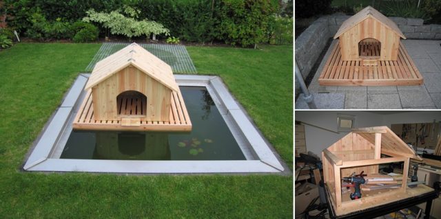 Floating-duck-house