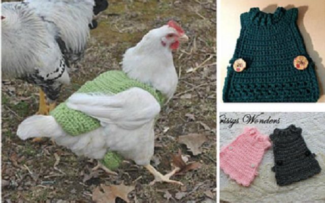 Easy chicken clearance sweater crochet pattern