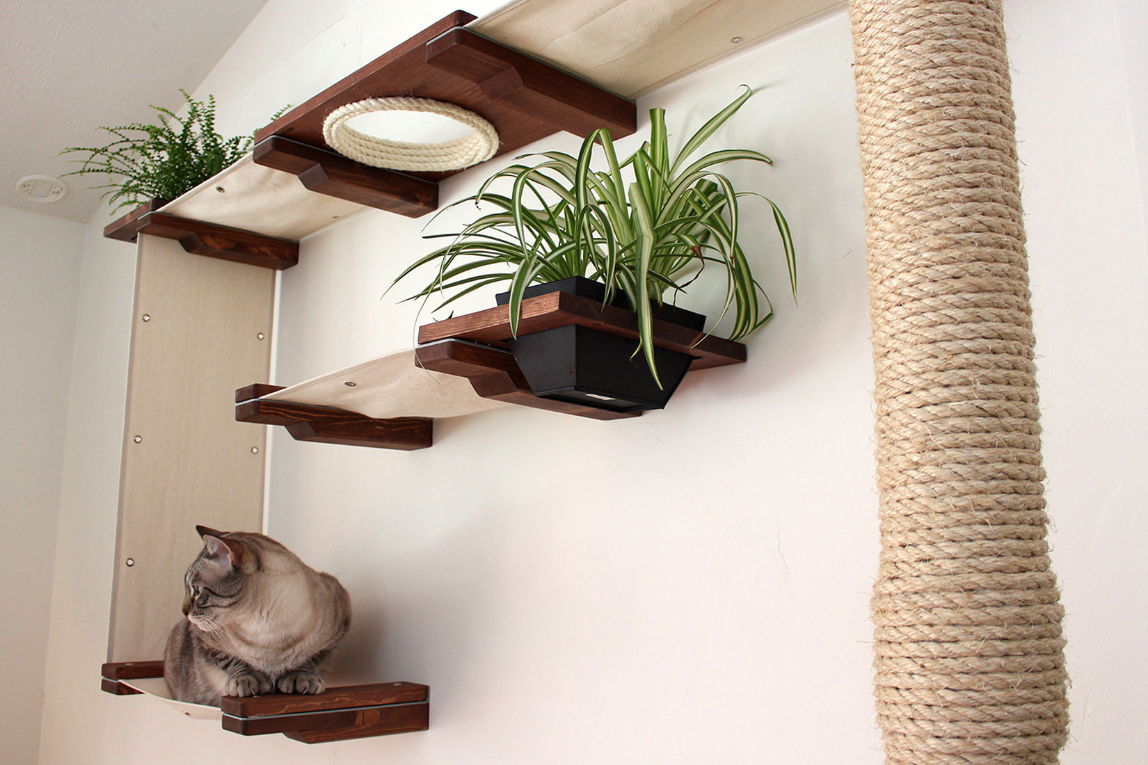 Build the perfect playground for your cats! | Home Design, Garden ...