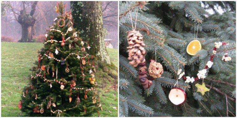 Decorate an Outdoor Christmas Tree With Edible Ornaments for the Animals |  Home Design, Garden & Architecture Blog Magazine