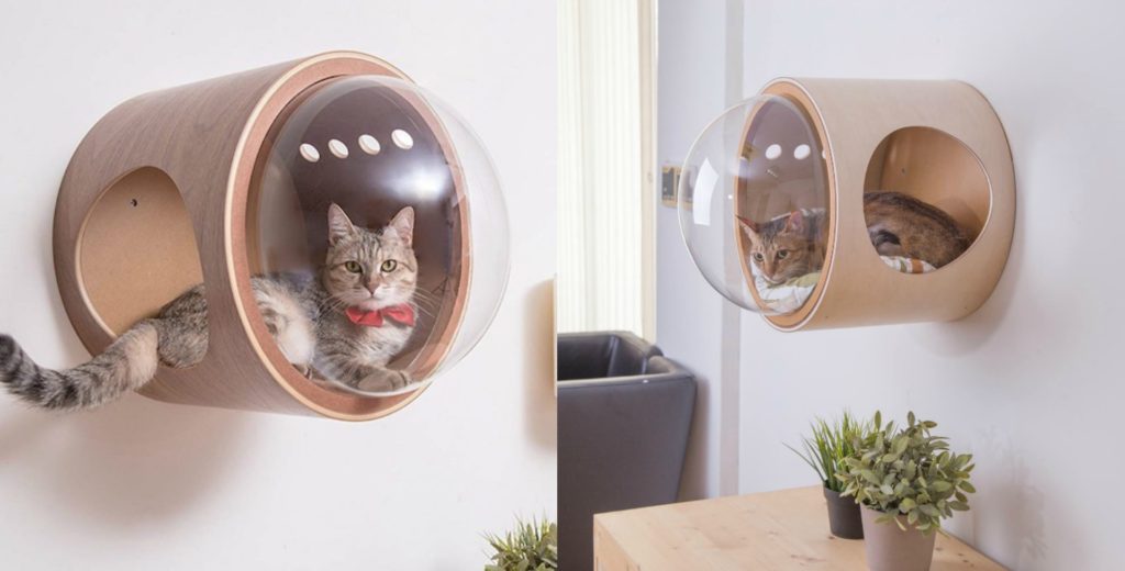 Your Cat Needs This Wall-Mounted Bed | Home Design, Garden ...