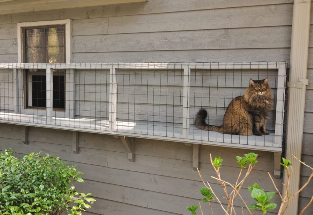 Screened Cat Porches are a great way to keep your kitty safe | Home ...