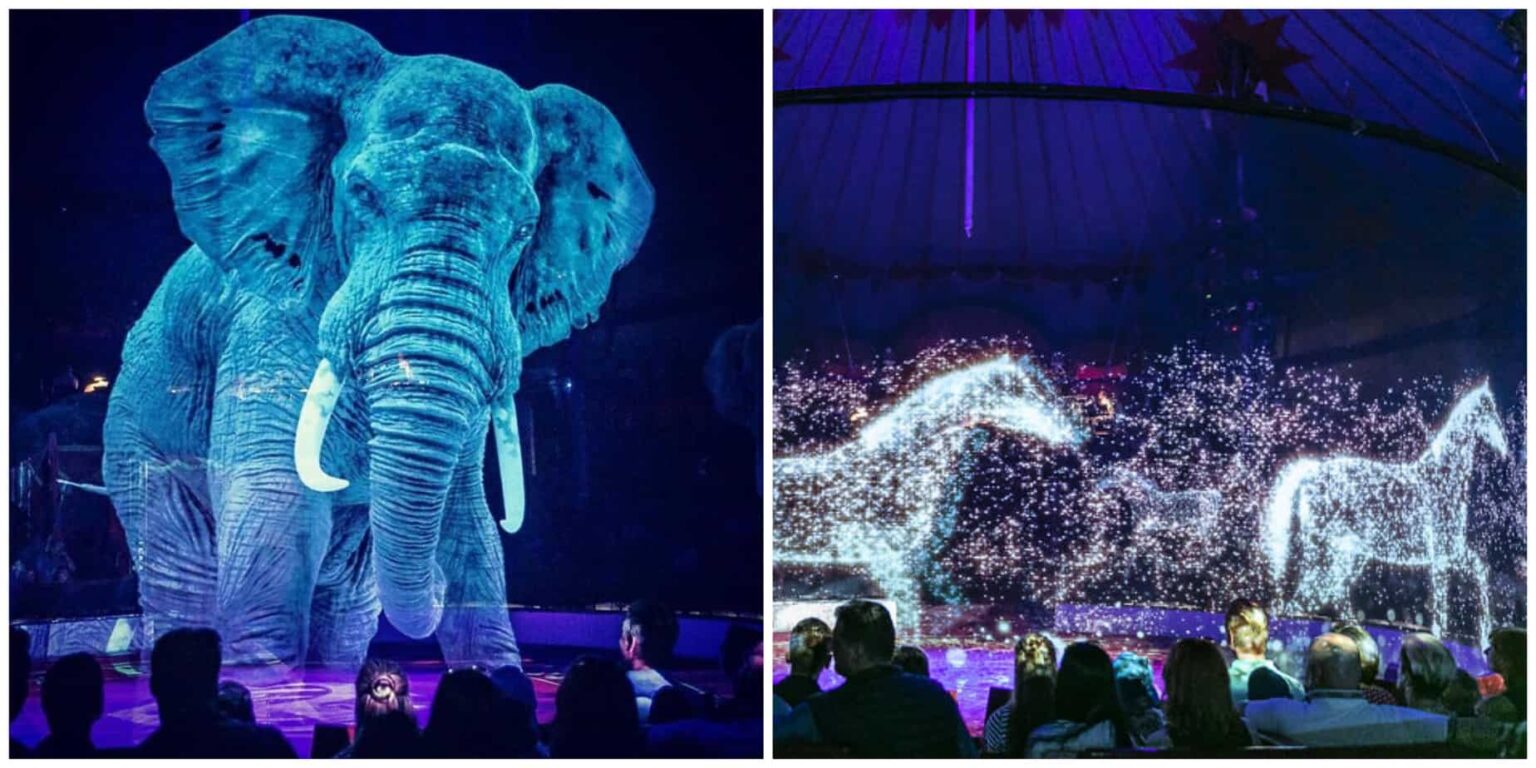 German Circus Uses Holograms Instead Of Live Animals For A Cruelty-Free ...