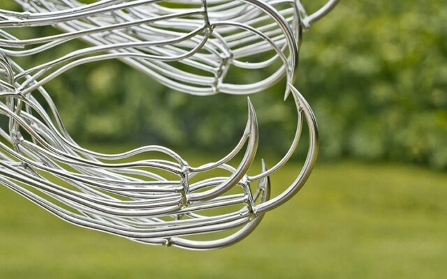 Intricate Stainless Steel Wire Sculptures by Martin Debenham