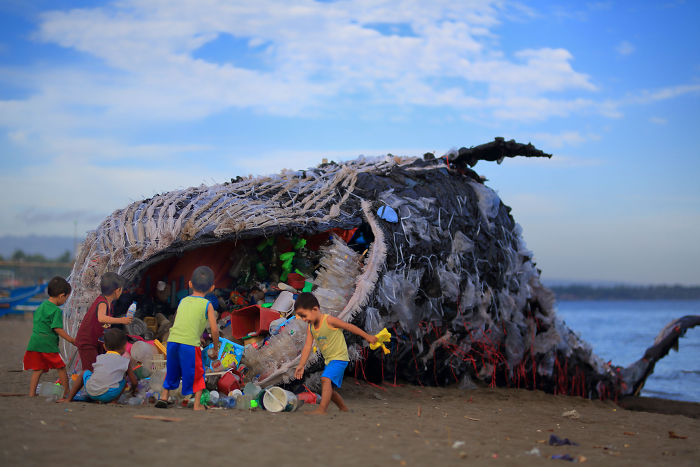 “Dead Whale” Reminds Us That Ocean Pollution Is Getting Out Of Control ...