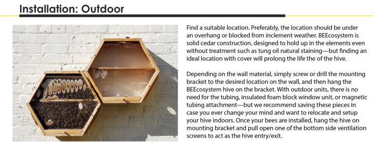 Observation Beehive That You Can Mount On Your Wall At Home | Home ...