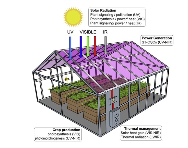 Semi-Transparent Solar Cells Can Power Greenhouses Without Stunting ...