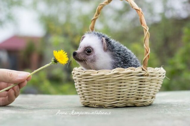 Artist Creates Amazing Realistic Little Animals Entirely Out of Wool | Home  Design, Garden & Architecture Blog Magazine