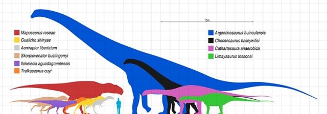 Dinosaur Fossil of a Titanosaur Discovered in Argentina May Belong to ...