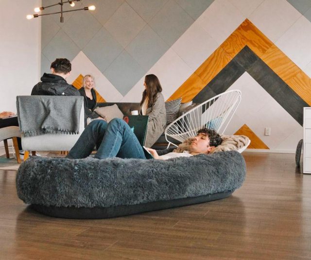 Giant dog bed outlet for humans