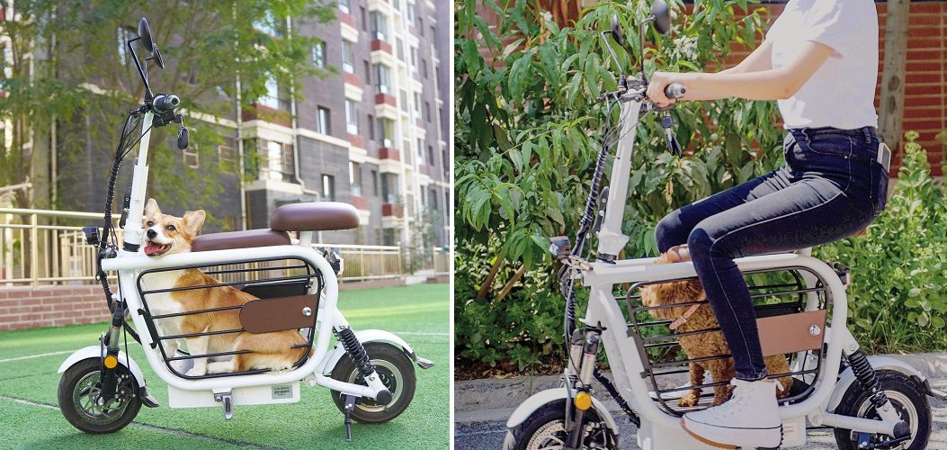 The Mopet Is An Electric Bicycle That Holds Your Dog While You Ride